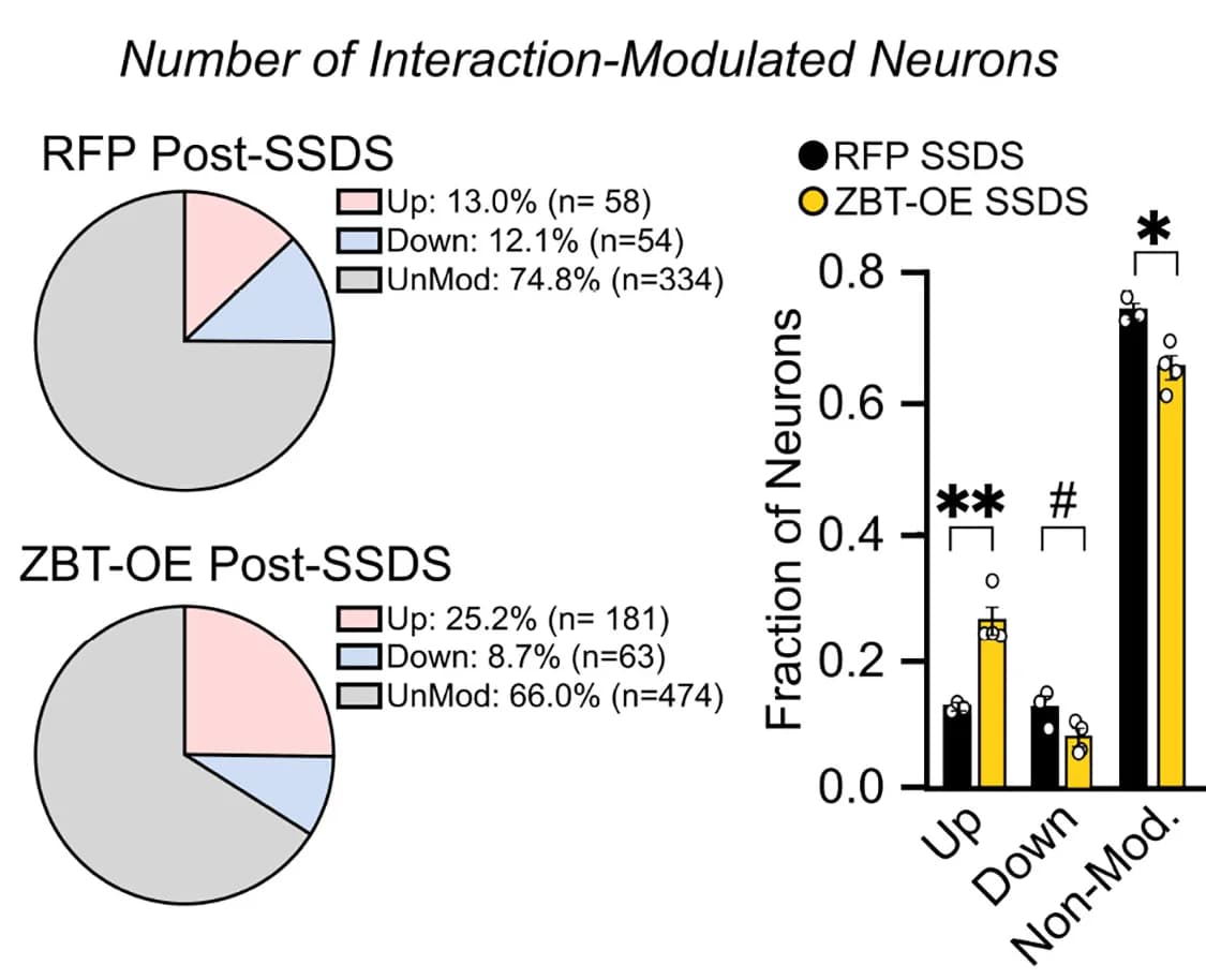 Open access visualization of Bar Plot, Pie Chart, Error Bars, OFC Neurons, SI Zone