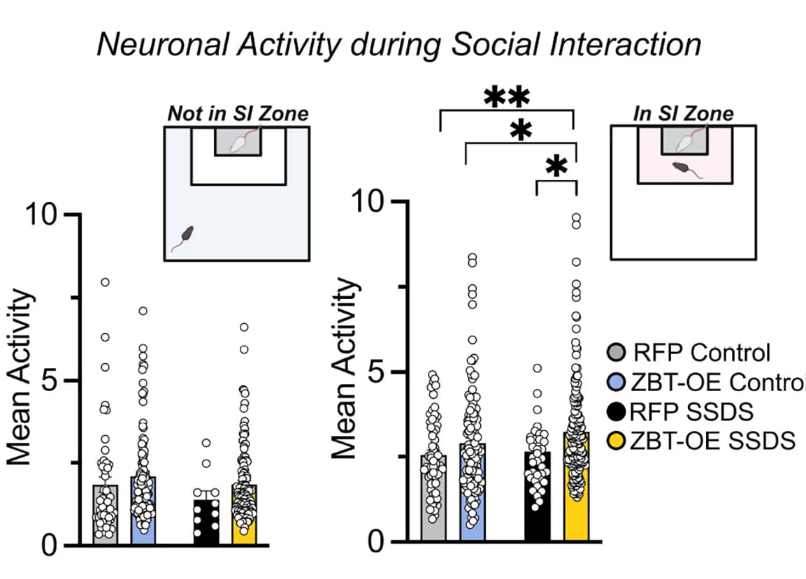 Open access visualization of Bar Plot, Scatter Plot, Error Bars, Mean Activity, Modulated Neurons