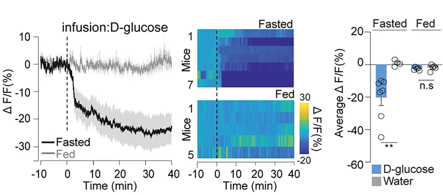 Open access visualization of Line Plot, Error Bars, Heatmap, Bar Plot, Peri-Stimulus Time Histograms
