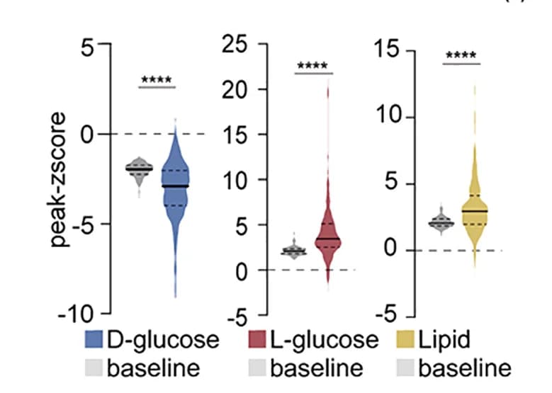Open access visualization of Violin Plot, Box Plot, Raincloud Plot, Z Scores, D-Glucose