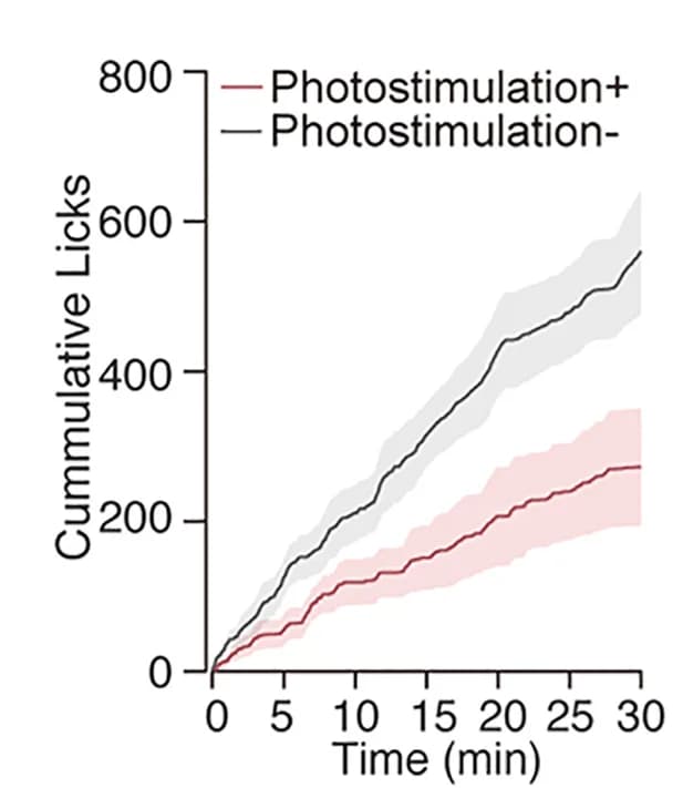 Open access visualization of Line Plot, Error Bars, Lick Counts, D-Glucose, CRFPVN:ChR2