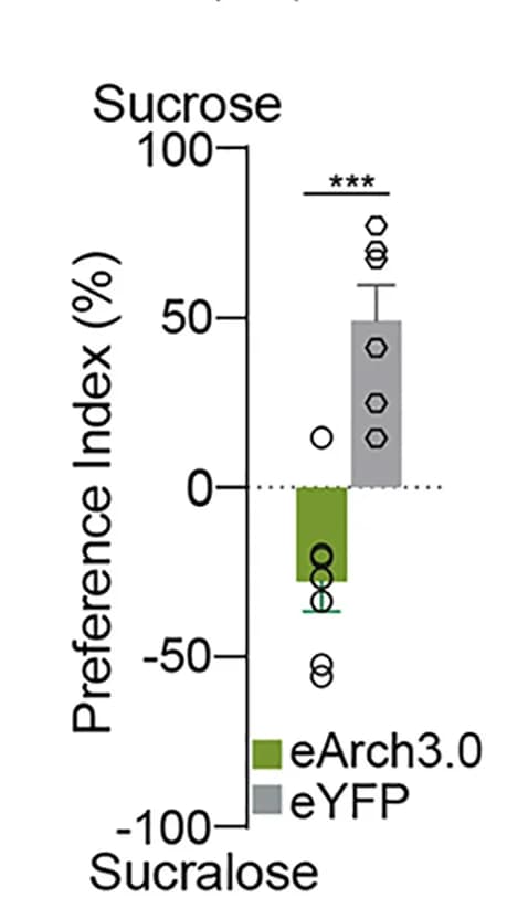 Open access visualization of Bar Plot, Error Bars, Sucrose Preference Index, Photoinhibition, CRF⁺PVN:eArch3.0
