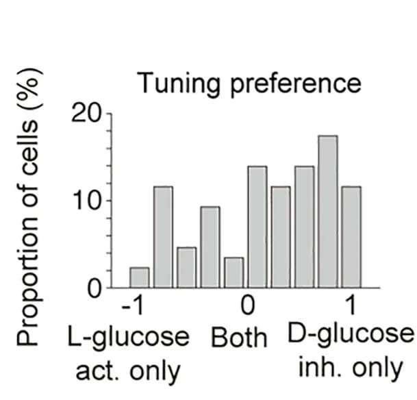 Open access visualization of Bar Plot, Histogram, Tuning Preference, CRFPVN Neurons, L-Glucose