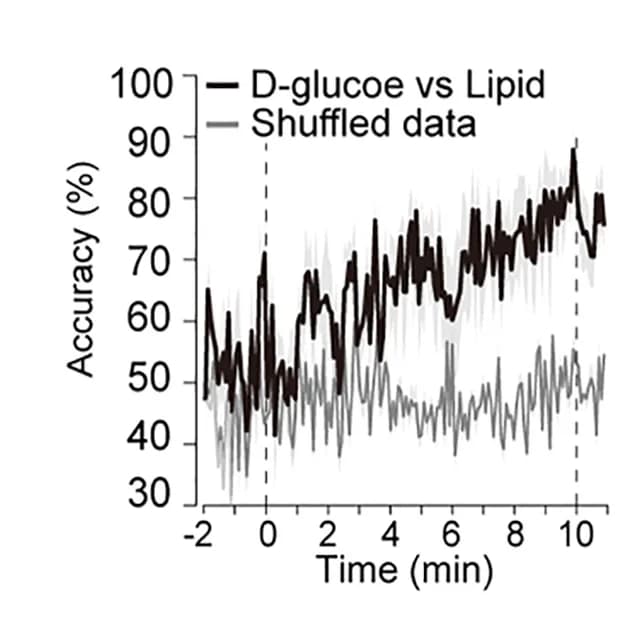 Open access visualization of Line Plot, Error Bars, Decoding Performance, Support Vector Machine, Calcium Dynamics