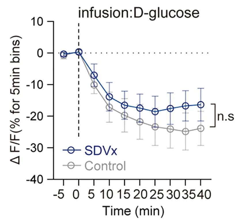 Open access visualization of Line Plot, Error Bars, Time-Binned Average, D-Glucose, Control Mice