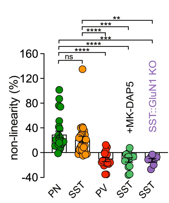 Open access visualization of Scatter Plot, Error Bars, Non-Linearity, Pyramidal Neurons, SST-INs