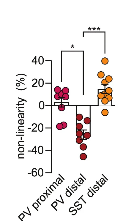 Open access visualization of Scatter Plot, Error Bars, Non-Linearity, pEPSPs, Dendrites