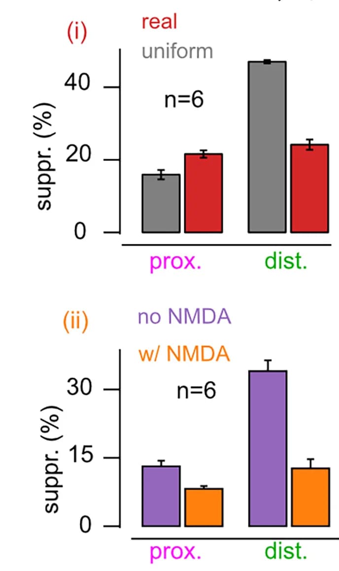 Open access visualization of Bar Plot, Error Bars, Clustered, EPSP Amplitude, Synapse Activation