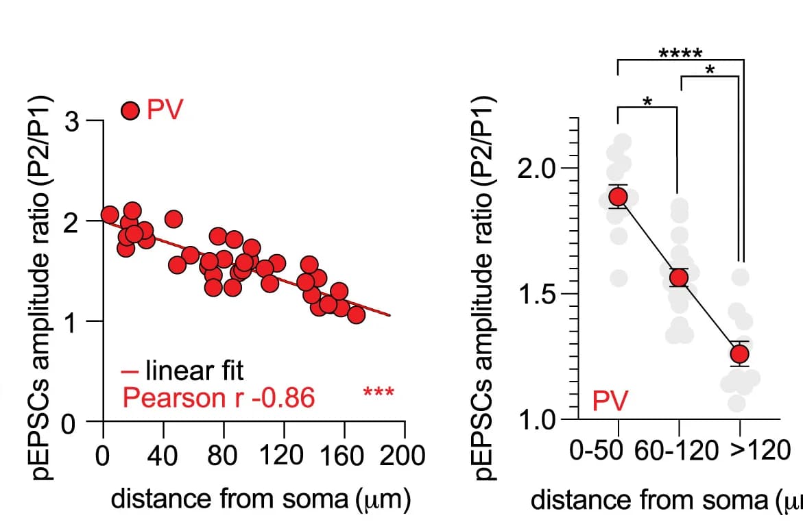 Open access visualization of Scatter Plot, Regression Plot, Error Bars, Line Plot, Photolysis