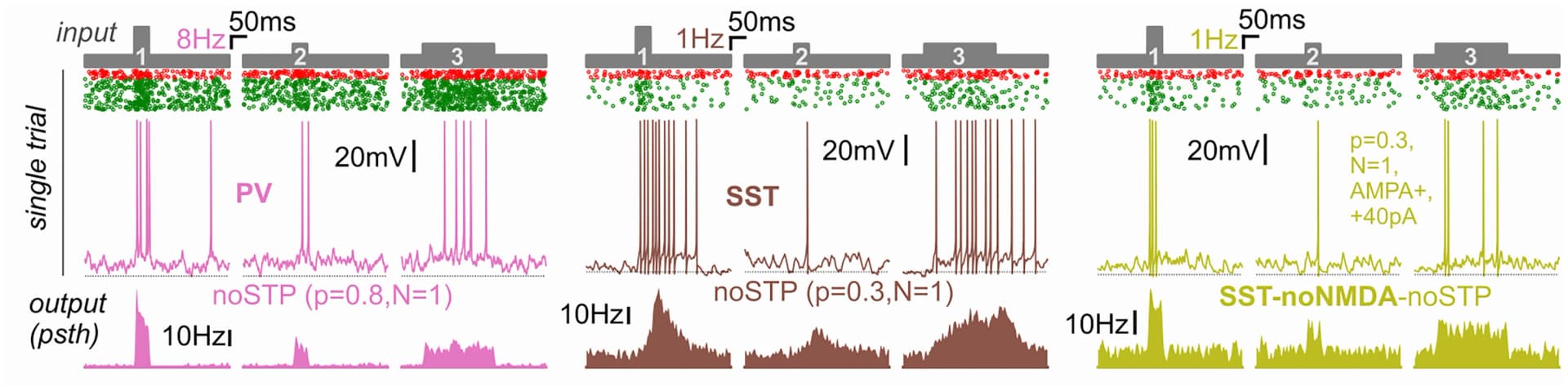 Open access visualization of Line Plot, Scatter Plot, Density Plot, Step-Waveform Input, Input Integration