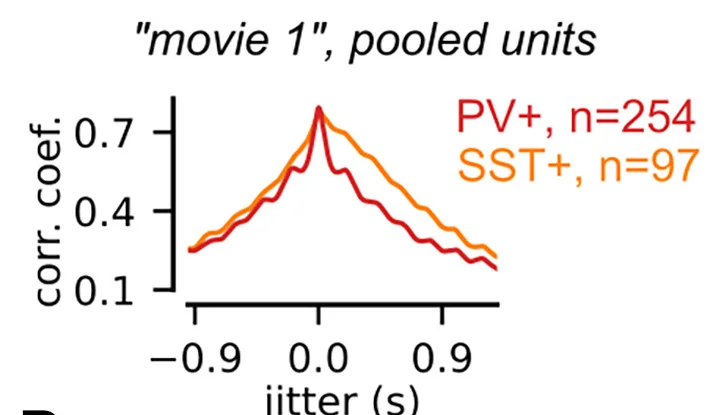 Open access visualization of Line Plot, Cross-Correlation Function, Firing Rates, Tag-Negative Units, PV+ Populations
