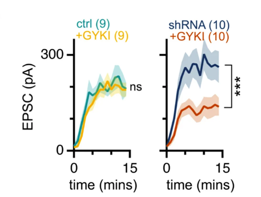 Open access visualization of Line Plot, Error Bars, Quantification, Control, GYKI