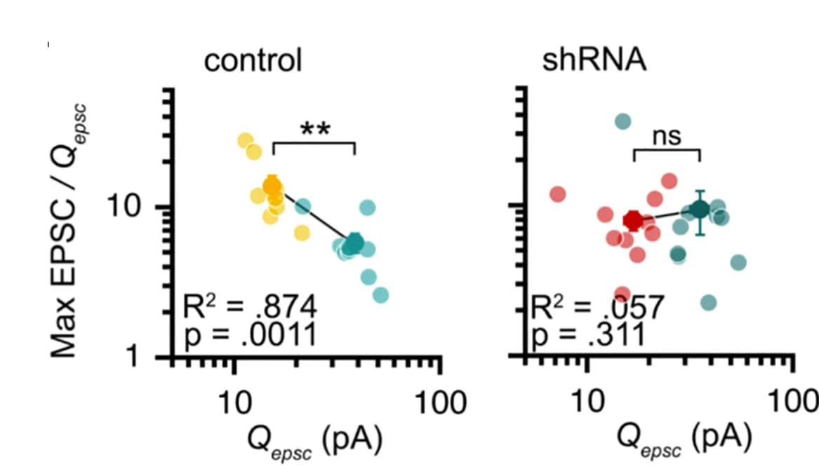 Open access visualization of Scatter Plot, Regression Plot, Error Bars, Single Experiments, Means