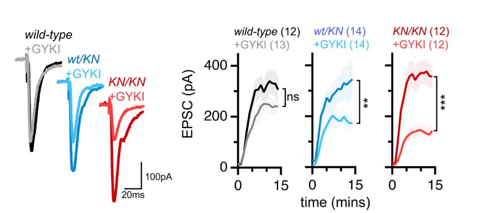 Open access visualization of Line Plot, Error Bars, EPSCs, GYKI, Wild-Type