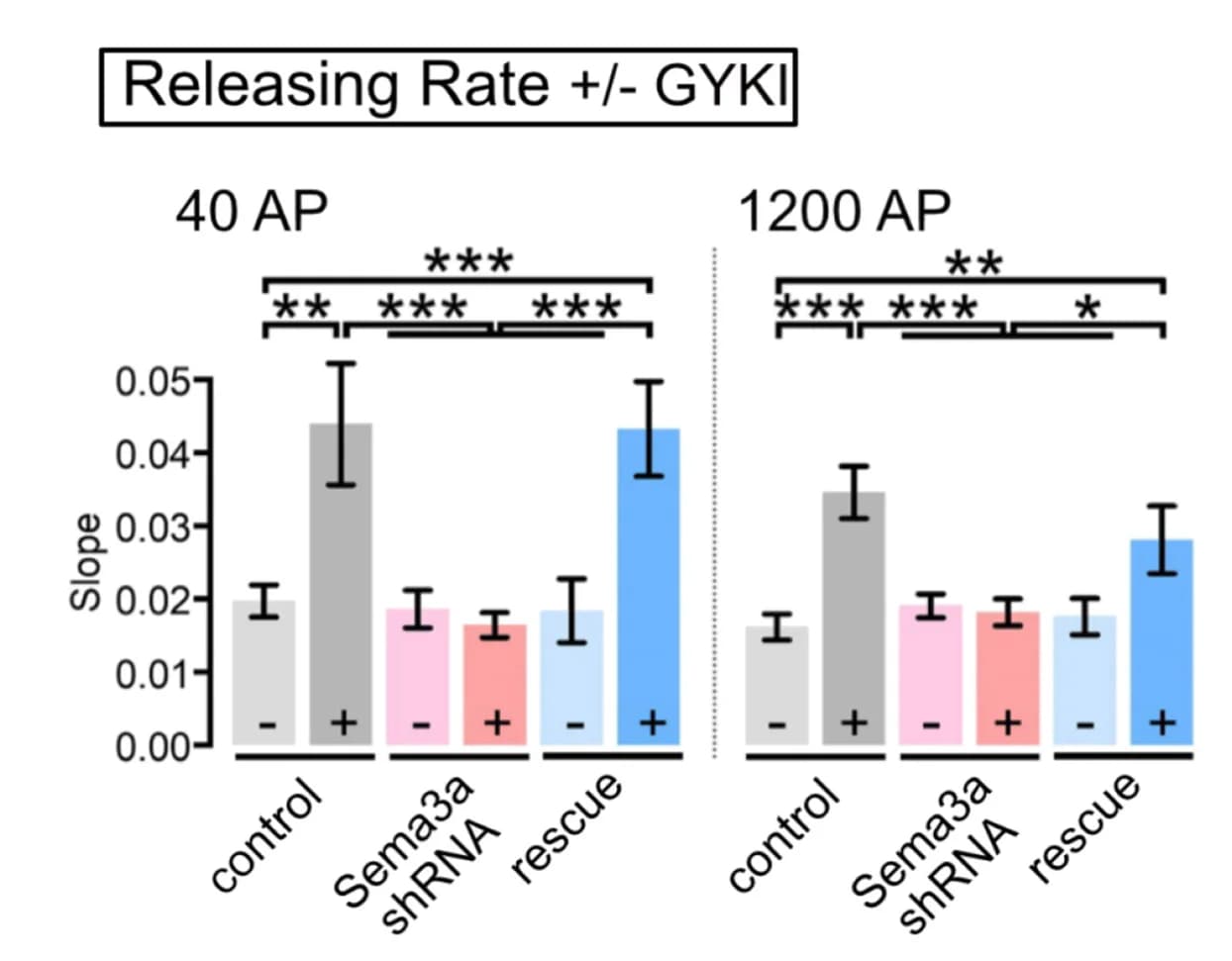 Open access visualization of Bar Plot, Error Bars, SypHy Fluorescence, Releasing Rate, Estimation