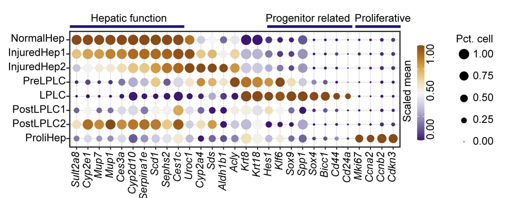 Open access visualization of Bubble Plot, Heatmap, Dot Plot, Gene Expression, Cell Subpopulations