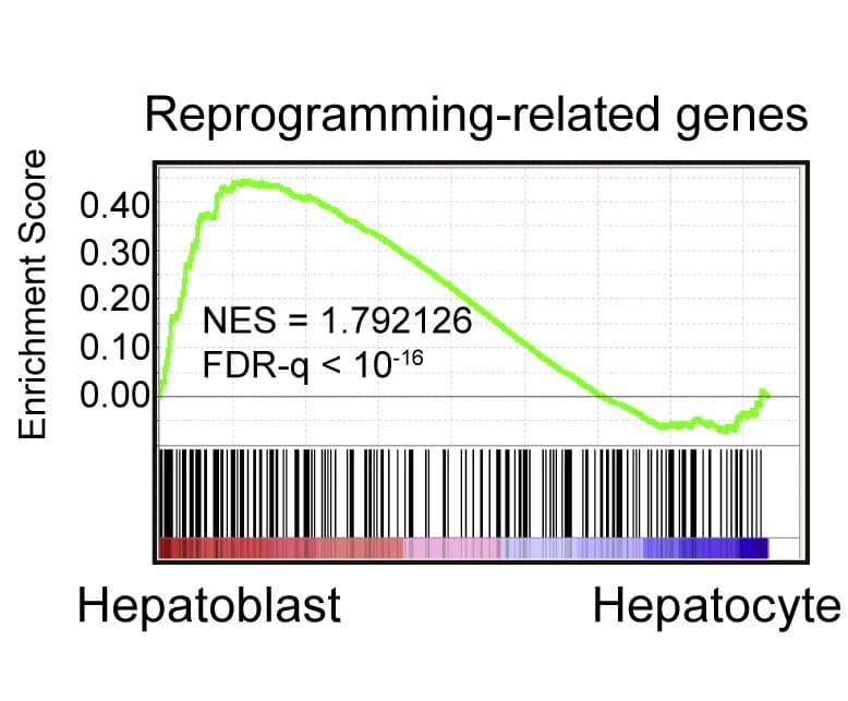 Open access visualization of Line Plot, Bar Plot, GSEA, RRGs, Hepatoblast