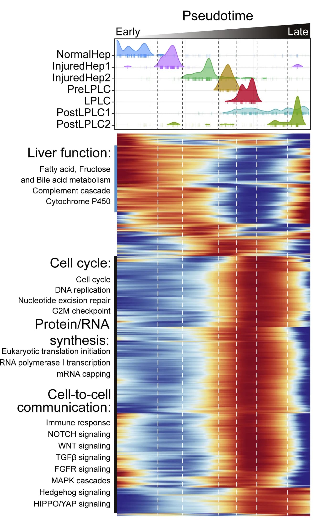 Open access visualization of Heatmap, Ridge Plot, Pathways, Reprogramming