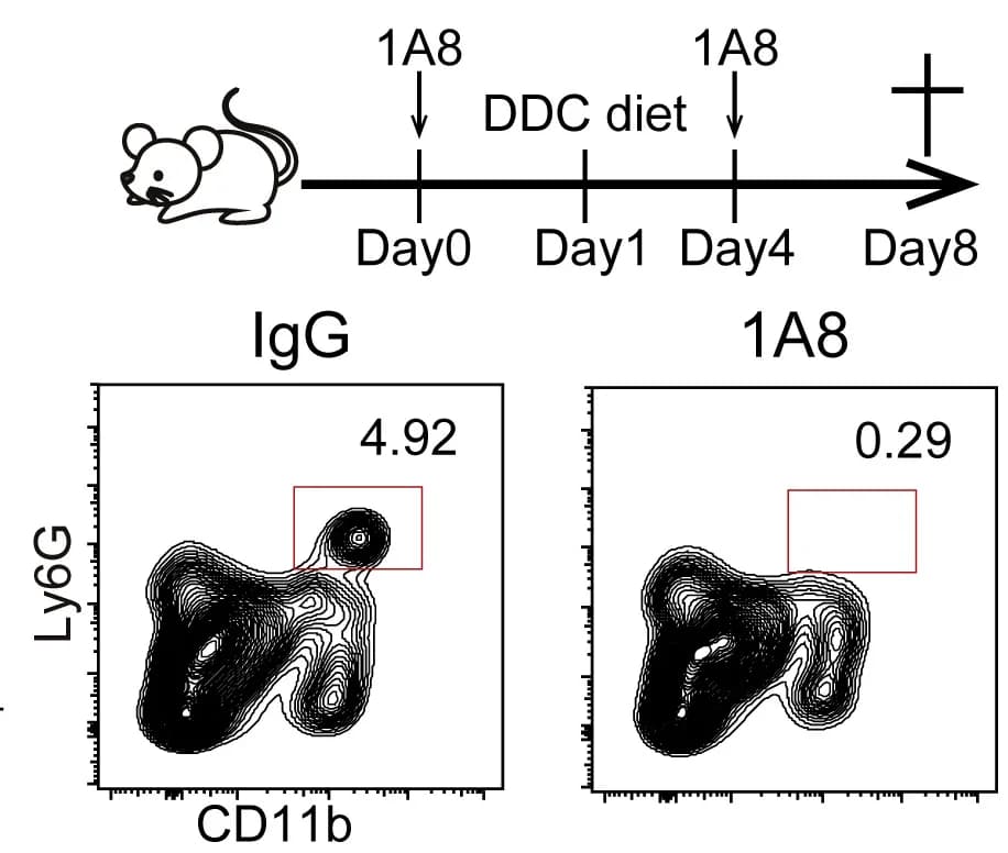 Open access visualization of Scatter Plot, Neutrophils, Depletion Efficiency, DDC Injury, Flow Cytometry