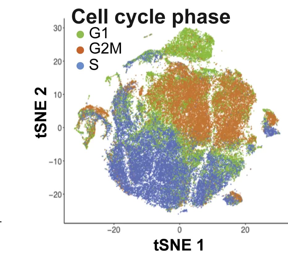 Open access visualization of Scatter Plot, UMAP, Gene Expression, tSNE, scRNA-seq