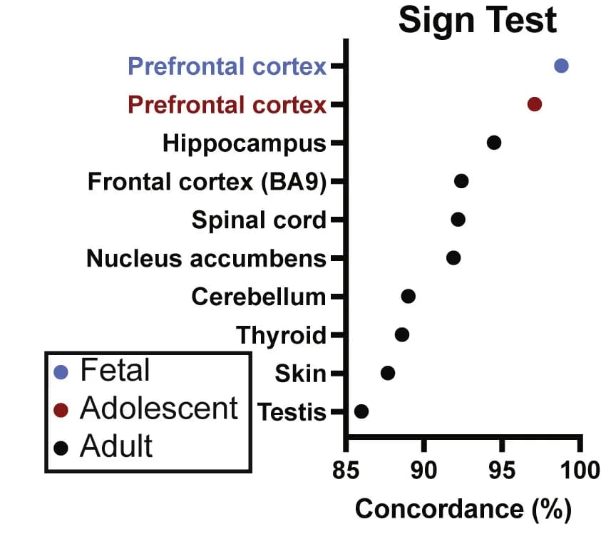 Open access visualization of Scatter Plot, SNaP-44 eQTLs, Brain eQTLs, Fetal Brain, Adult Brain