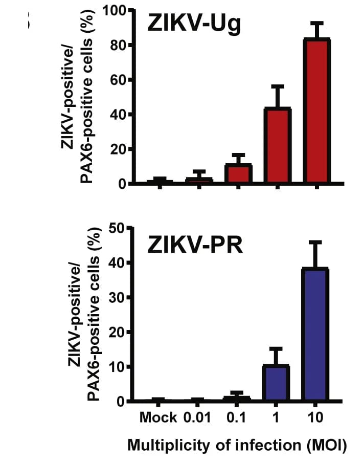 Open access visualization of Bar Plot, Error Bars, Quantification, SNaP infections, ZIKV-Ug