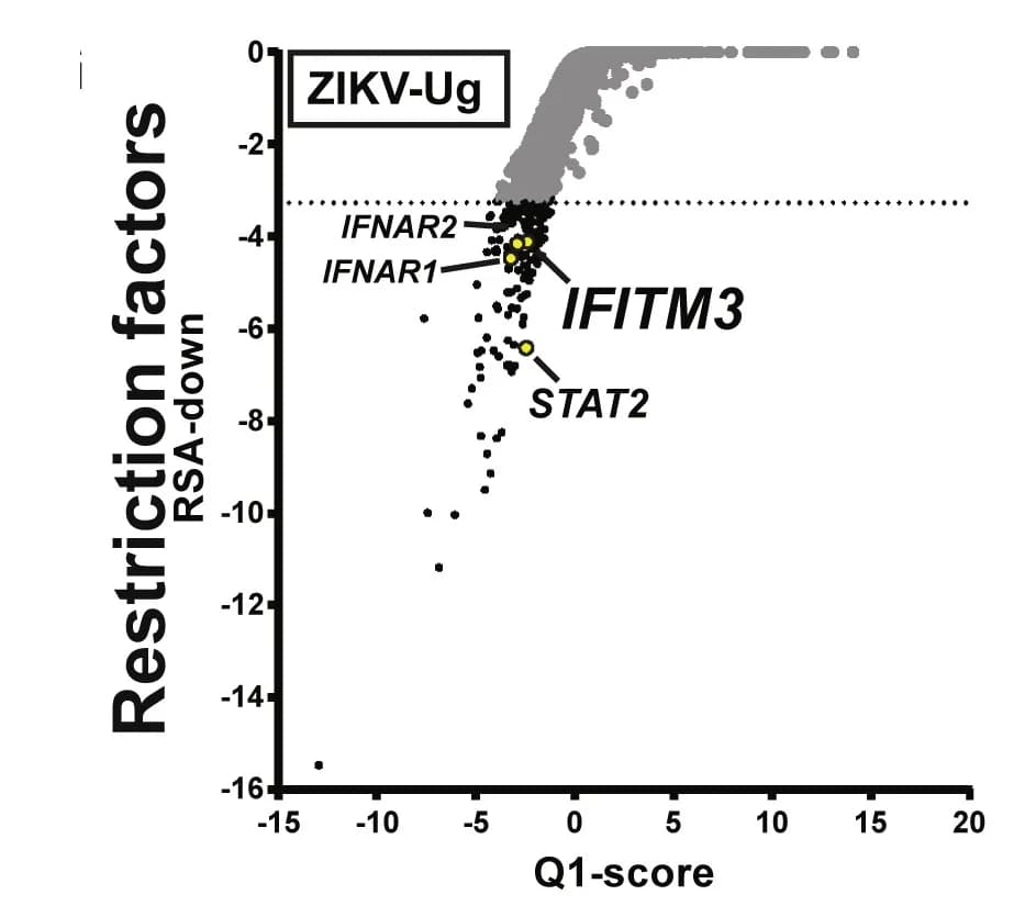 Open access visualization of Volcano Plot, Scatter Plot, RSA plots, Restriction factor genes, ZIKV-PR