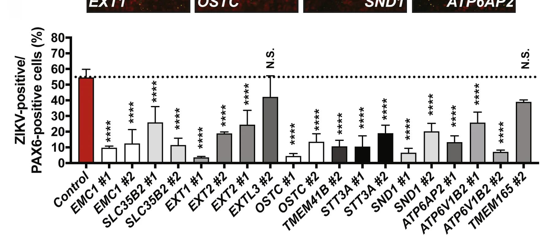 Open access visualization of Bar Plot, Error Bars, Screen validation, H1-Cas9 SNaPs, gRNAs