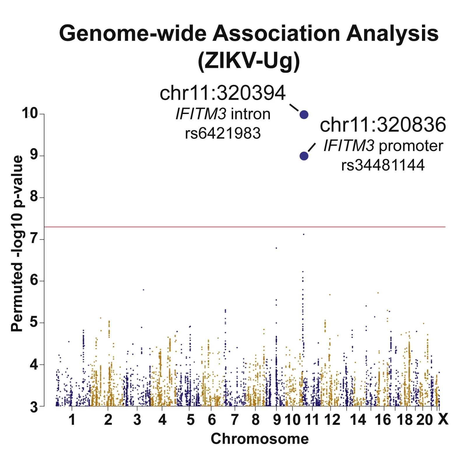 Open access visualization of Manhattan Plot, Genome-wide association analysis, ZIKV-Ug infectivity, Linear regression
