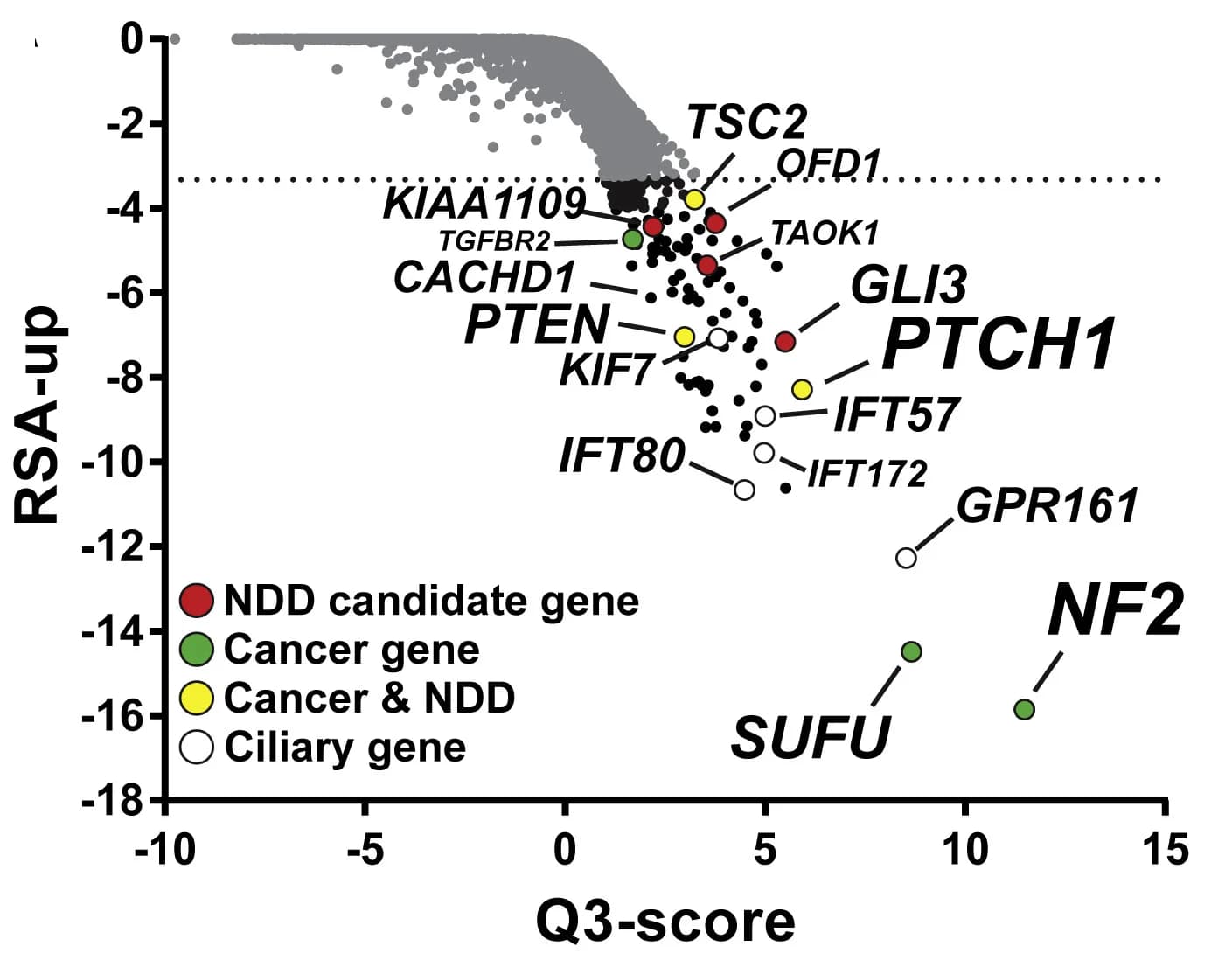 Open access visualization of Scatter Plot, Volcano Plot, CRISPR, Fitness Screen, RSA Analysis