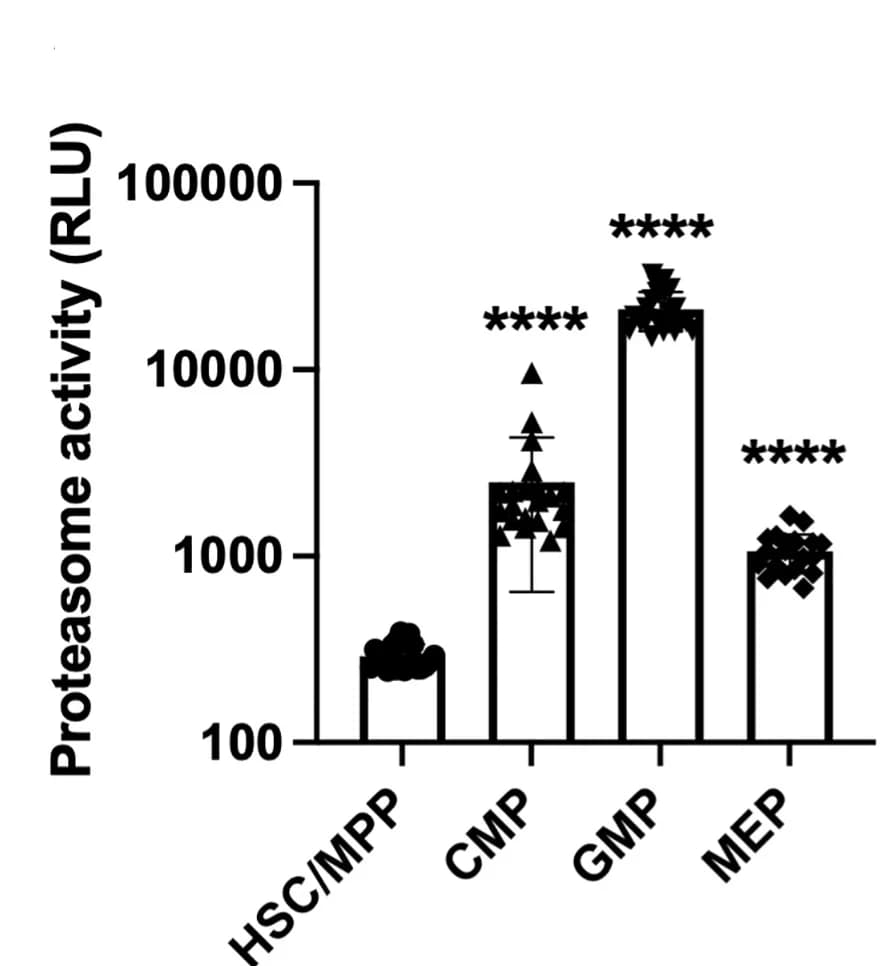 Open access visualization of Bar Plot, Error Bars, Scatter Plot, Proteasome Activity, HSCs