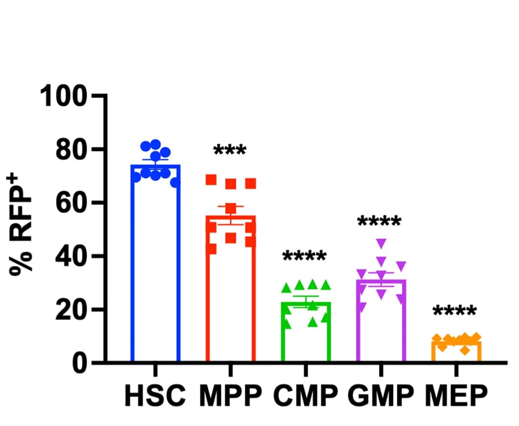 Open access visualization of Bar Plot, Error Bars, Autophagic Activity, HSCs, MPPs