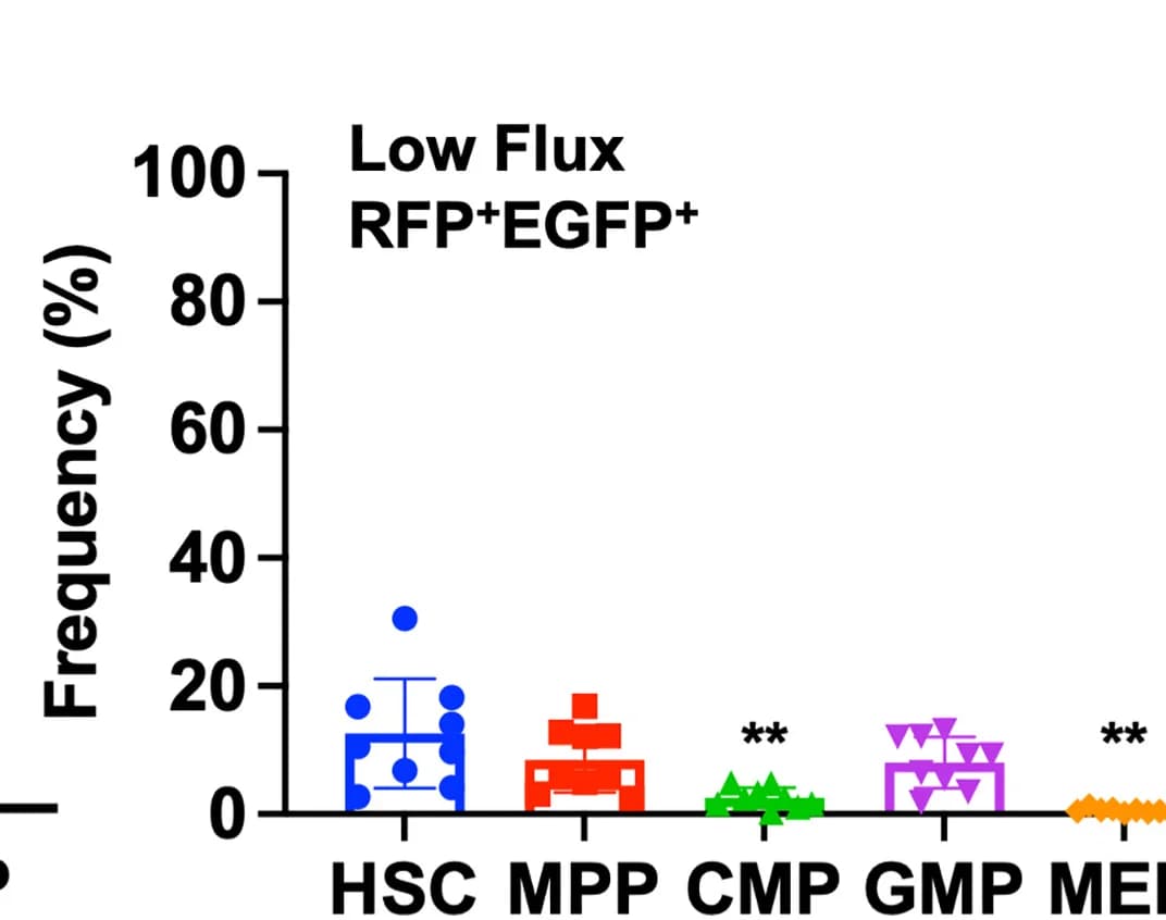 Open access visualization of Scatter Plot, Error Bars, Autophagic Flux, Flow Cytometry, RFP+EGFP+ Cells