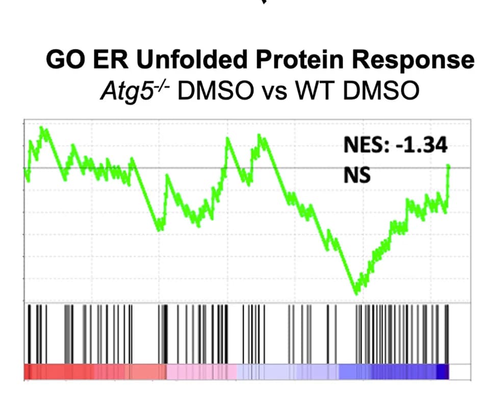 Open access visualization of Line Plot, Line Step, Gene Set Enrichment, UPR Gene Set, HSCs