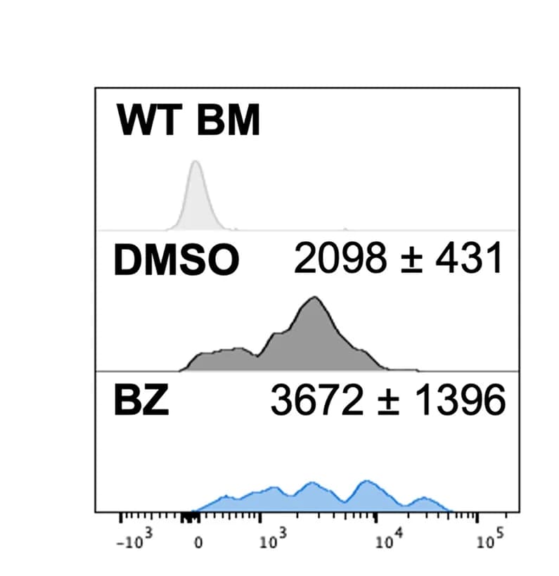 Open access visualization of Density Plot, Histograms, Mean Fluorescence Intensity, RFP, Wild-type Bone Marrow Cells