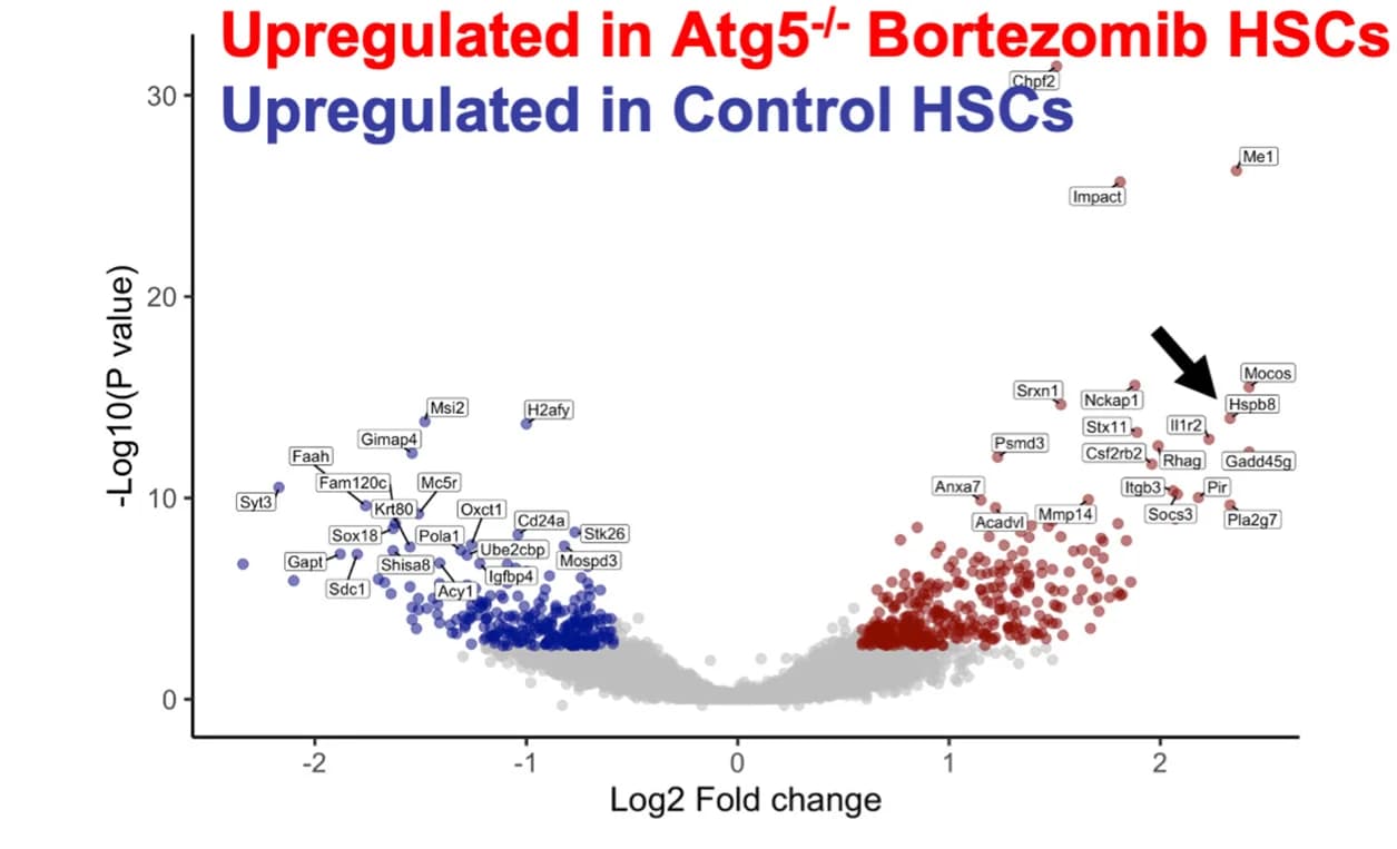 Open access visualization of Volcano Plot, Scatter Plot, Upregulated Genes, Downregulated Genes, HSCs