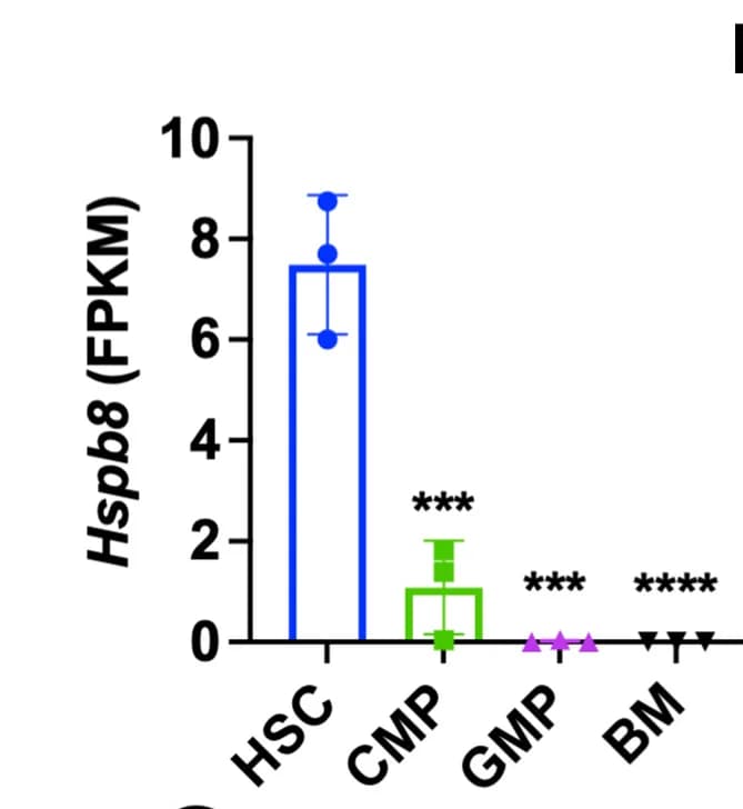 Open access visualization of Bar Plot, Error Bars, Hspb8, HSCs, Progenitors