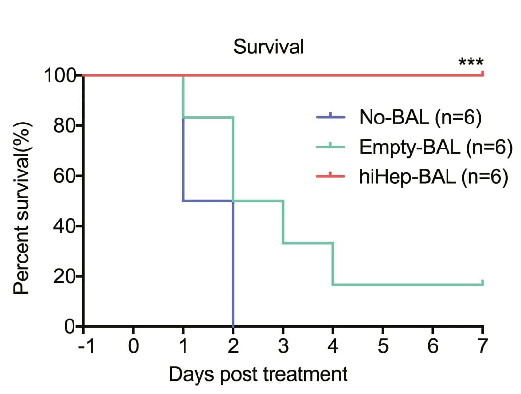 Open access visualization of Survival Curve, Line Step, Kaplan-Meier Survival Curve, No-BAL, Empty-BAL