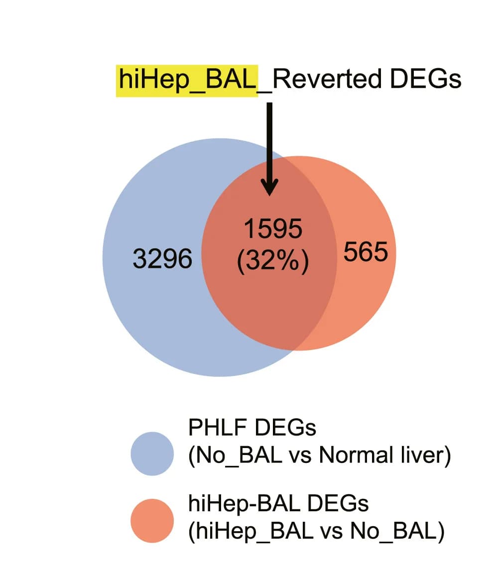 Open access visualization of Venn Diagram, PHLF, no-BAL, Normal Liver, hiHep-BAL