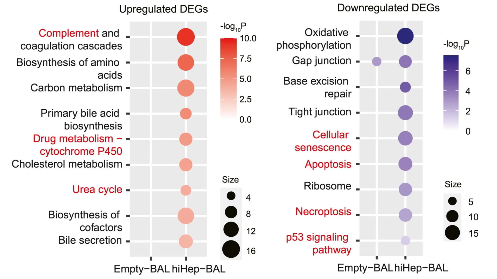 Open access visualization of Bubble Plot, Scatter Plot, Pathways, hiHep-BAL Reverted DEGs, Empty-BAL
