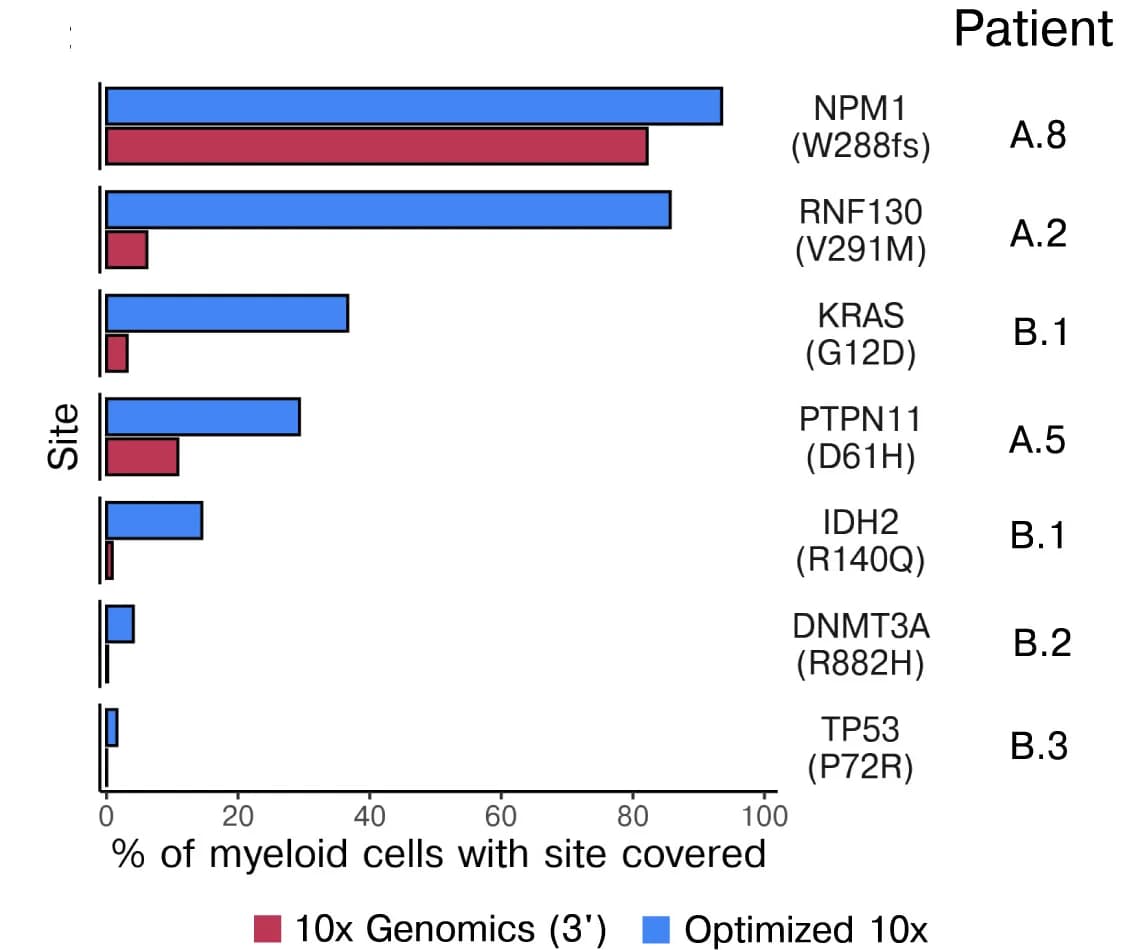 Open access visualization of Bar Plot, Clustered, Nuclear Mutations, AML Patients, Myeloid Cells