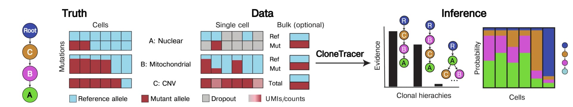 Open access visualization of Workflow, Bar Plot, Stacked Bar Plot, Network, CloneTracer