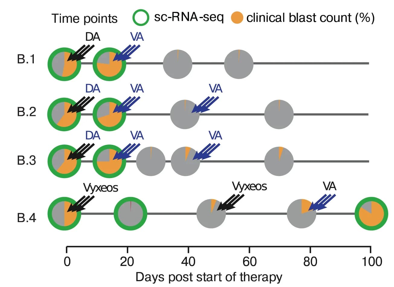 Open access visualization of Line Plot, Pie Chart, Longitudinal Sampling, Patient Cohort, Blast Counts