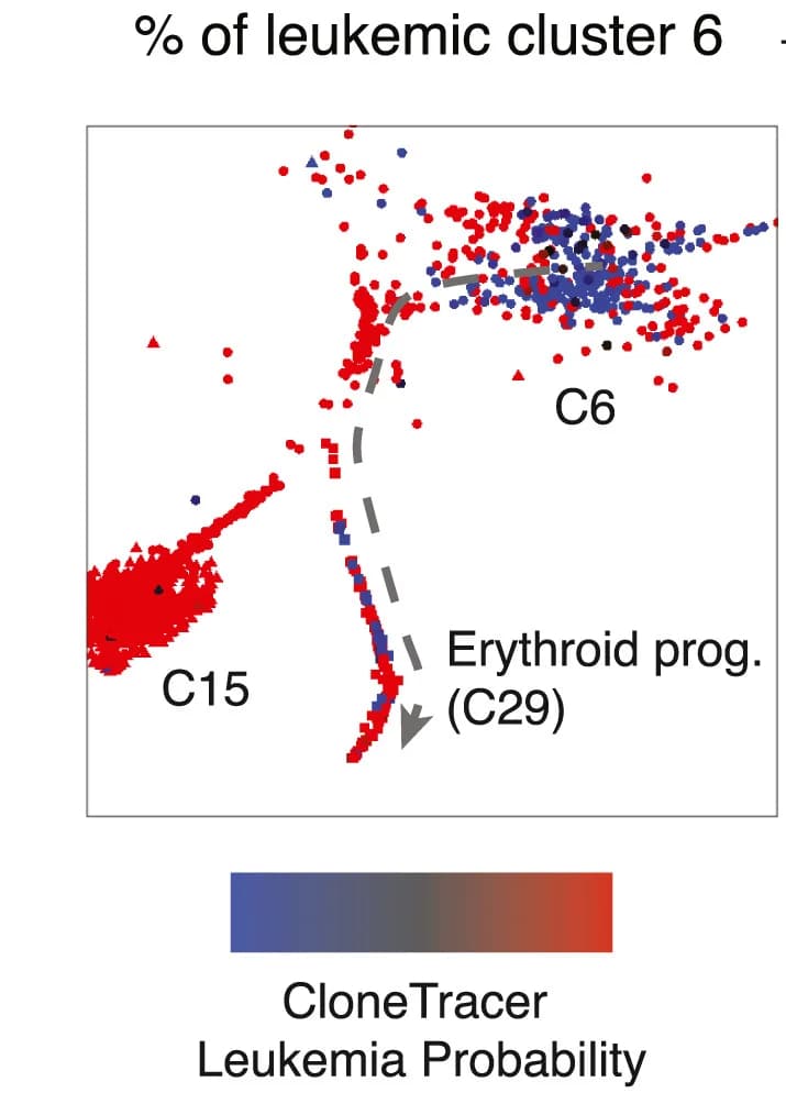 Open access visualization of Scatter Plot, UMAP, Zoom-in, Clusters, Hemoglobins