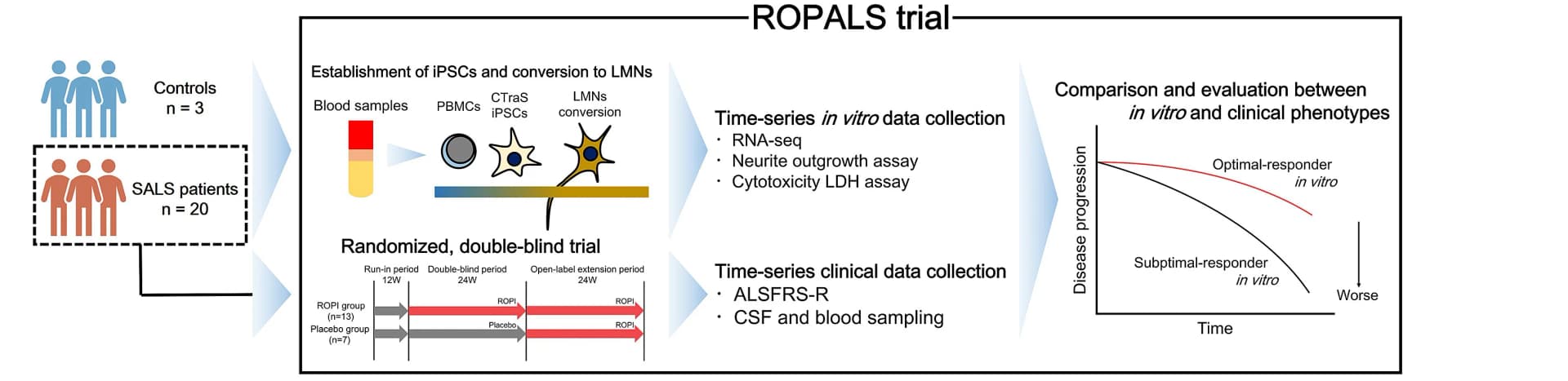 Open access visualization of Workflow, Flowchart, Line Plot, In vivo, In vitro