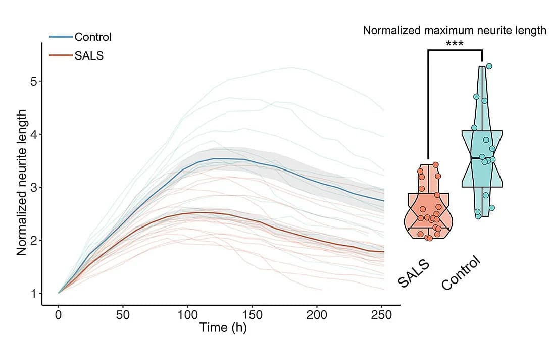 Open access visualization of Line Plot, Violin Plot, Scatter Plot, iPSC-MNs, Healthy Controls