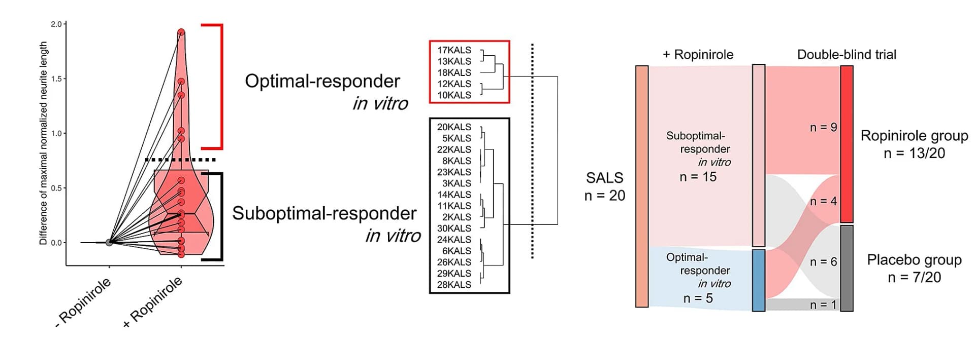 Open access visualization of Violin Plot, Box Plot, Sankey, Clustered, In vitro