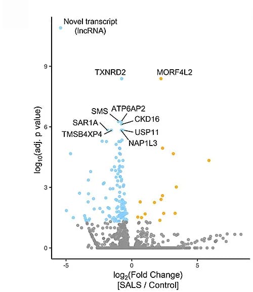 Open access visualization of Volcano Plot, Scatter Plot, Gene Expression, pMNs, hMNs