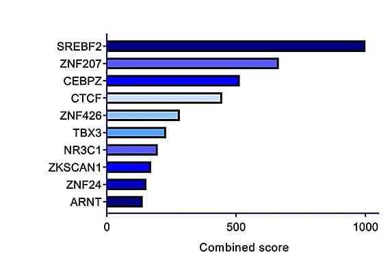 Open access visualization of Bar Plot, GO, KEGG Pathway, Gene Analysis, Cluster1