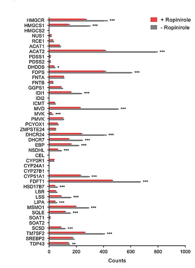 Open access visualization of Bar Plot, Error Bars, Gene Expression, Enzymes, CS Pathway